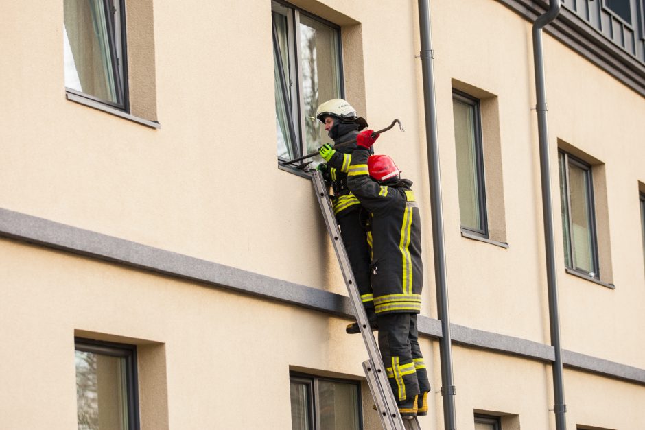 Skandalingojo šturmo byla: nakties vaiduoklis Asilo neišgelbėjo – įkalinamas 4 metams