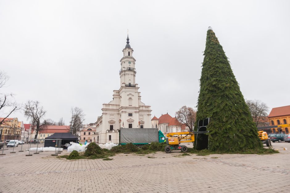 Kauno kalėdinės eglės kontūrai jau traukia smalsuolių žvilgsnius