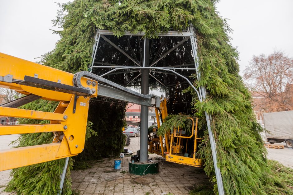 Kauno kalėdinės eglės kontūrai jau traukia smalsuolių žvilgsnius