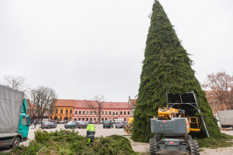 Kauno kalėdinės eglės kontūrai jau traukia smalsuolių žvilgsnius