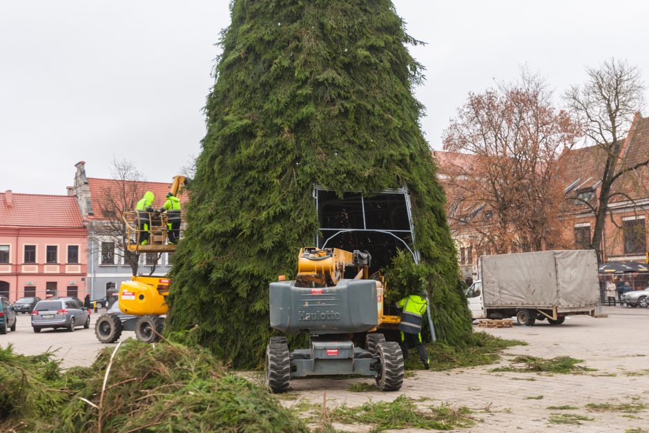 Kauno kalėdinės eglės kontūrai jau traukia smalsuolių žvilgsnius