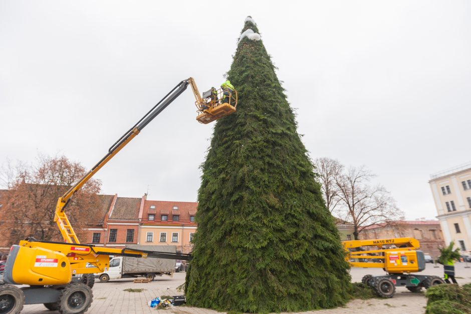 Kauno kalėdinės eglės kontūrai jau traukia smalsuolių žvilgsnius