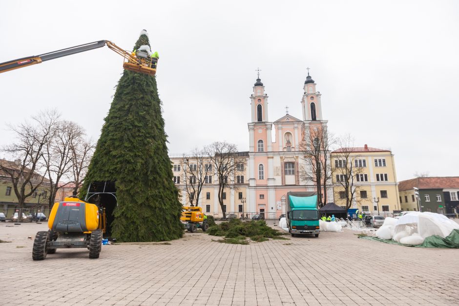 Kauno kalėdinės eglės kontūrai jau traukia smalsuolių žvilgsnius