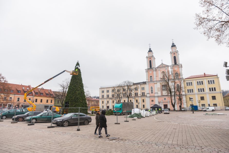 Kauno kalėdinės eglės kontūrai jau traukia smalsuolių žvilgsnius