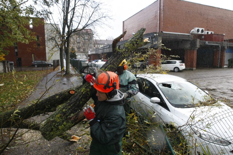 Siautė audra: ugniagesiai skubėjo šalinti vėjo nulaužtų medžių, apgadinti automobiliai