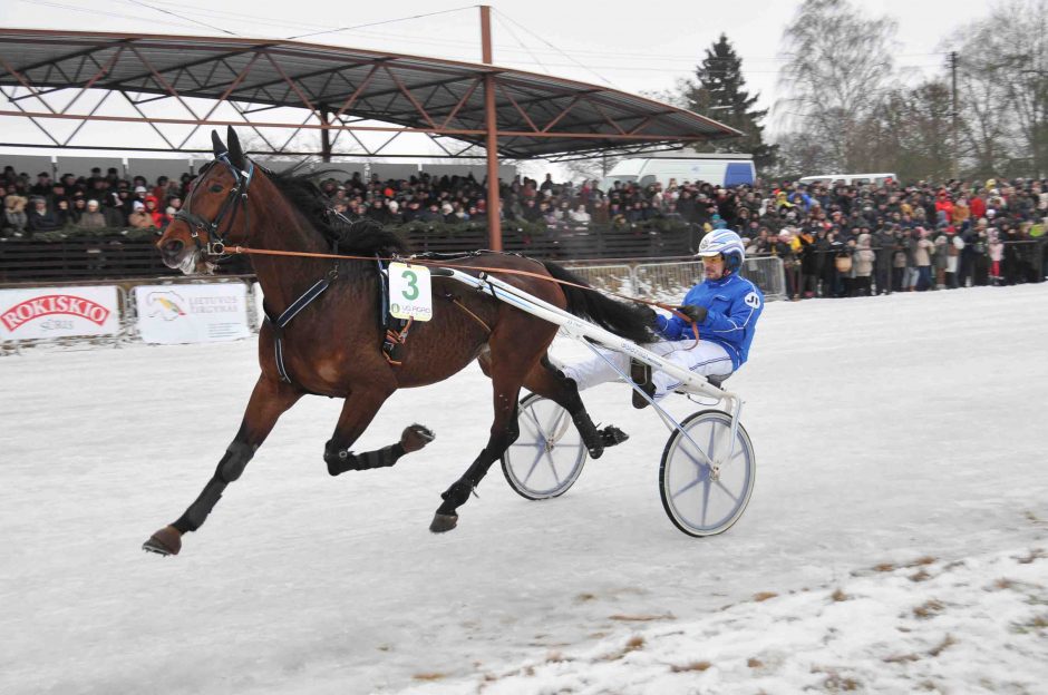 „Sartų 2017“ ledo take – 73 ristūnai