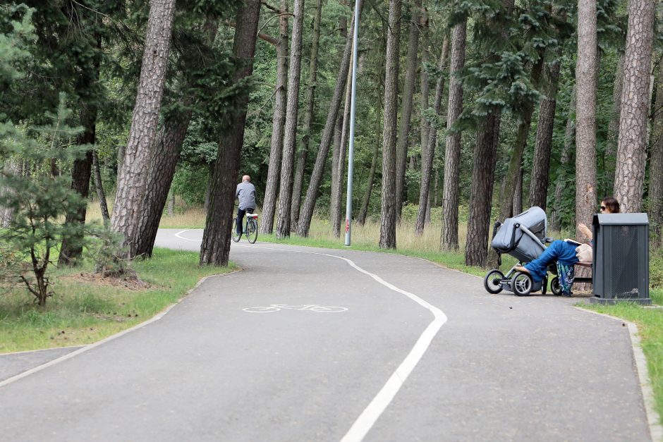 Parke – iškrypėlio išpuolis