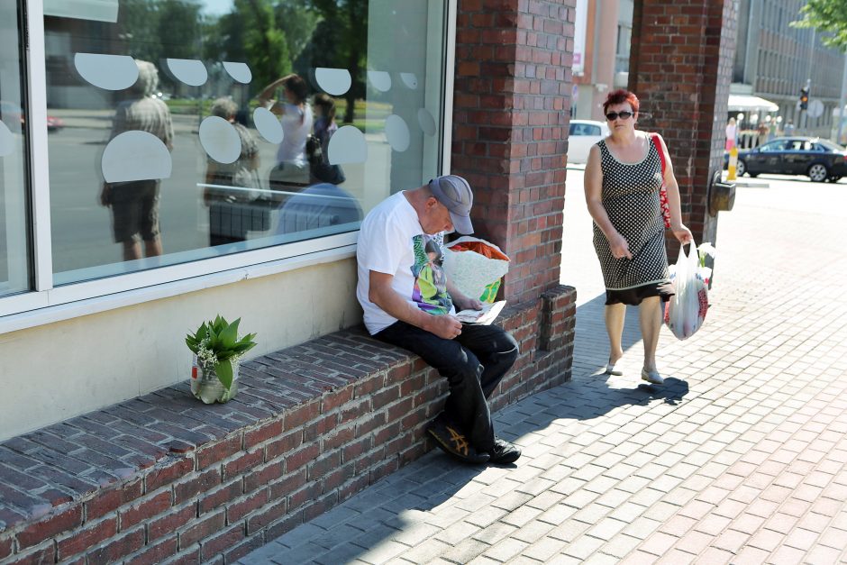 Aplinkosaugininkai Klaipėdos gatvėse ieškos pakalnučių