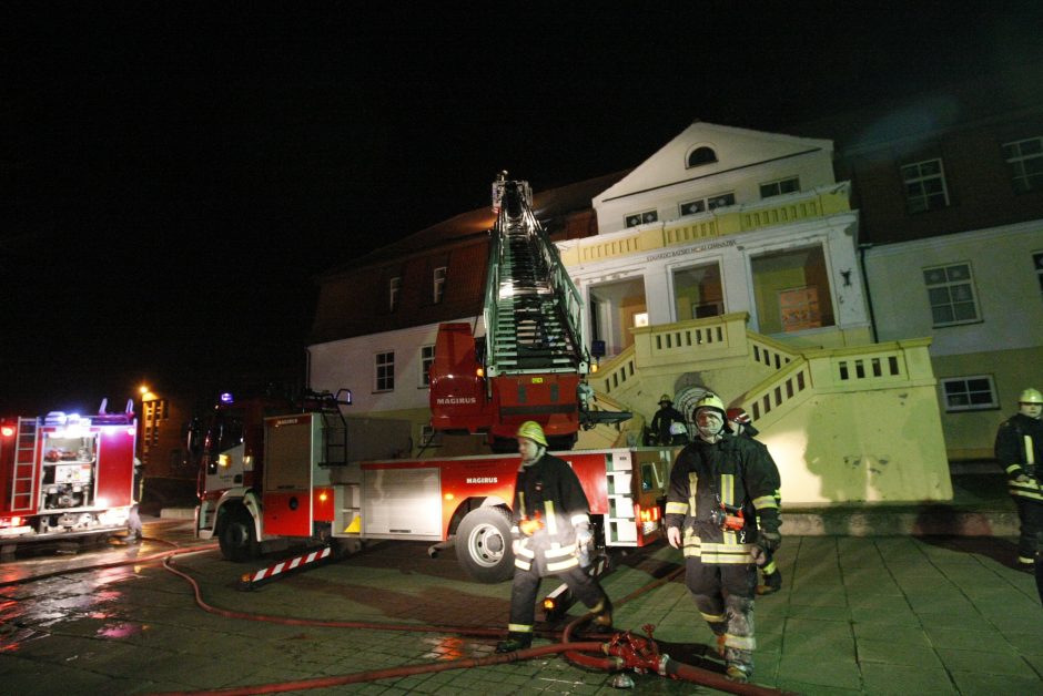 E. Balsio menų gimnaziją gelbės koncertu