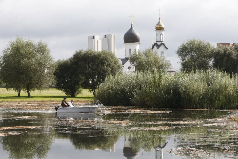 Dėl tvenkinio augalų – nepasitenkinimas