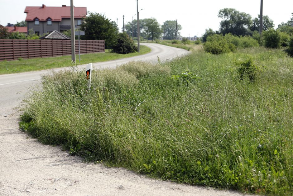 Už žolės pjovimą atsakingai įmonei numatoma skirti baudą