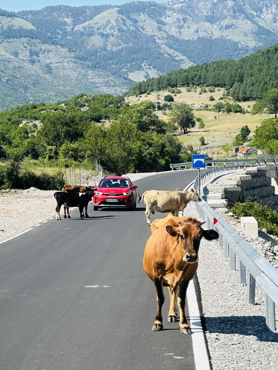 Albanija lietuviams pasirodė svetinga ir pilna kontrastų