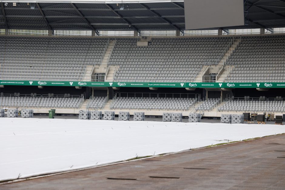 LFF prezidentas: man nesuvokiama, kai daromas koncertas likus savaitei iki futbolo rungtynių