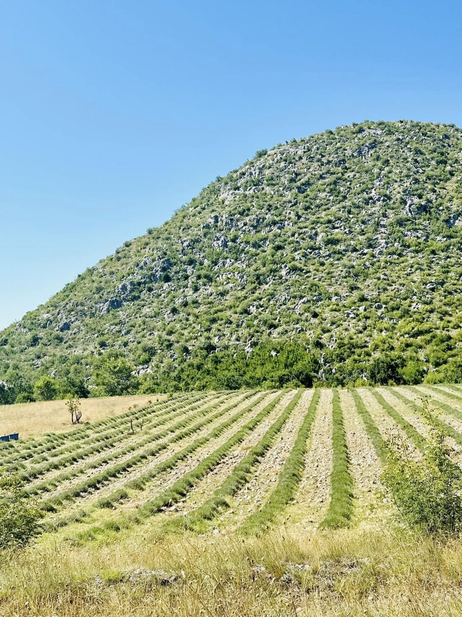 Albanija lietuviams pasirodė svetinga ir pilna kontrastų