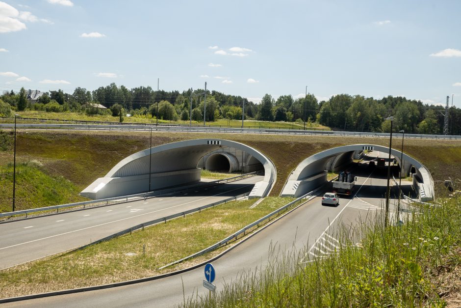 Pietrytinis aplinkkelis kelia klausimų