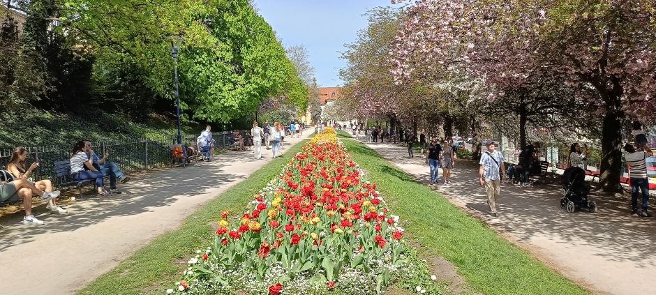 Žalio turisto užrašai. 1 500 minučių karališkoje Prahoje