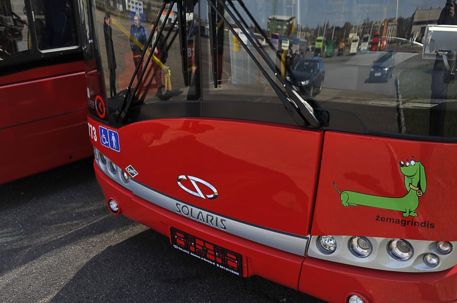 Šį savaitgalį – papildomi autobusų reisai į kapines