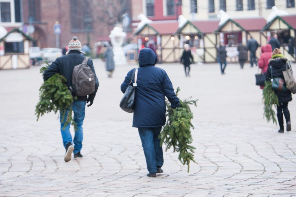 Kur Kaune padėti panaudotas eglutes? (surinkimo vietų sąrašas)