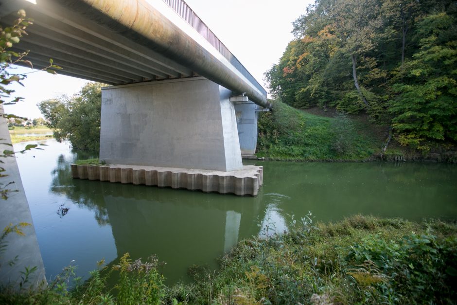 Aliarmas: kodėl atvėsus orams sužaliavo Jiesios upė?