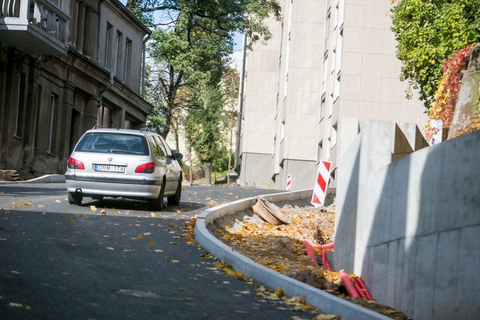 Žemaičių gatvėje užvirs asfaltavimo darbai