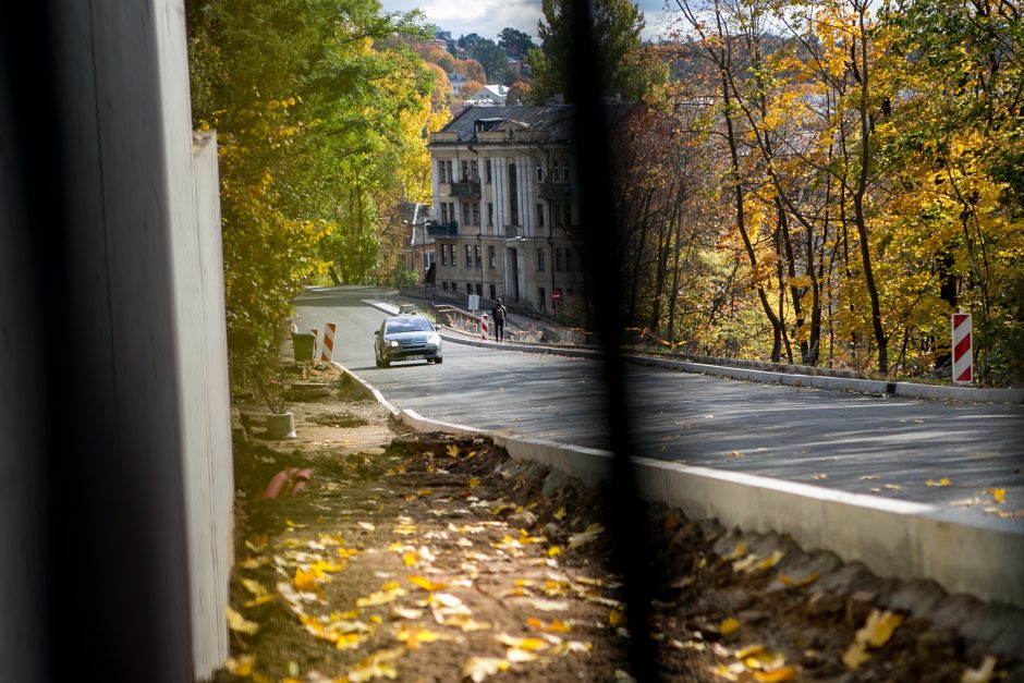 Žemaičių gatvėje užvirs asfaltavimo darbai