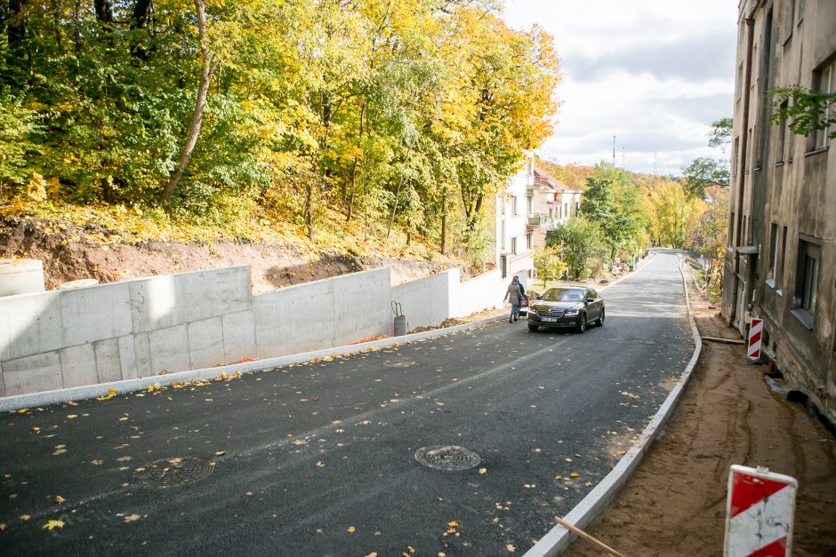 Žemaičių gatvėje užvirs asfaltavimo darbai