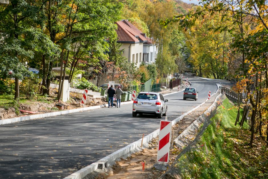 Žemaičių gatvėje užvirs asfaltavimo darbai