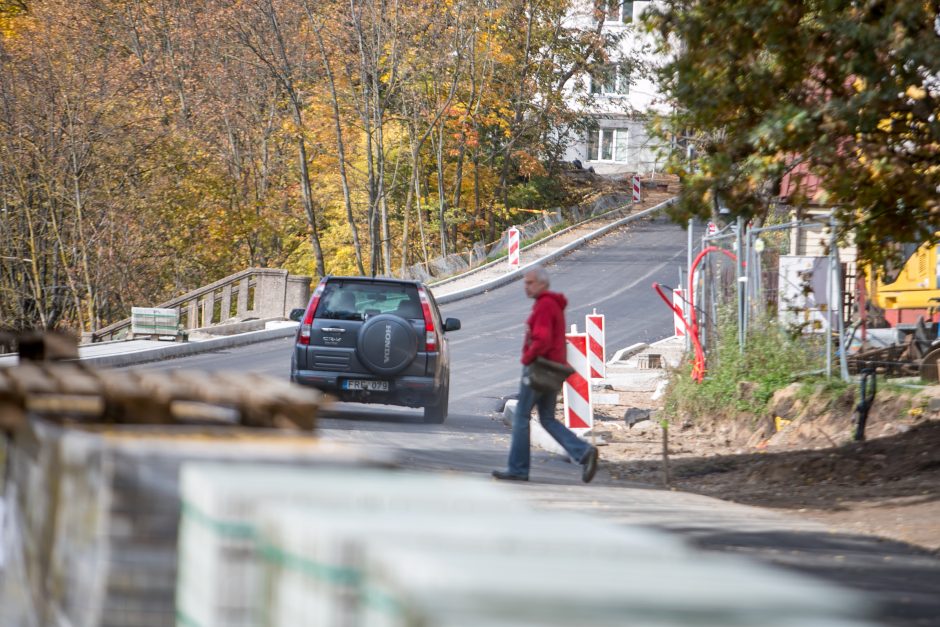 Žemaičių gatvėje užvirs asfaltavimo darbai