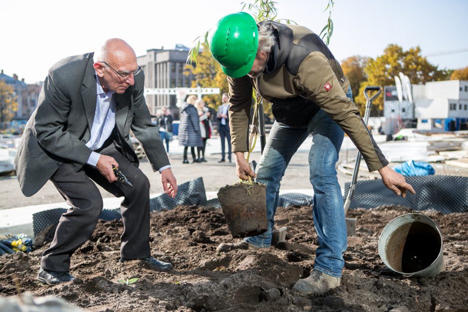 Ryškėja Vienybės aikštės vaizdas: pasodinti medžiai