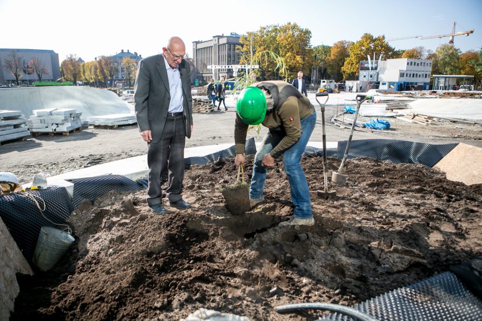 Ryškėja Vienybės aikštės vaizdas: pasodinti medžiai