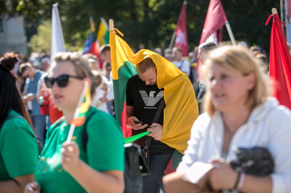 Žinomi žmonės apie mitingą: jau geriau Kaziuko mugė centre nei „šeimų gynėjai“