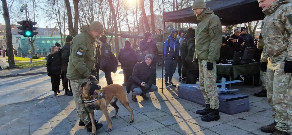 Uostamiestis švenčia Lietuvos kariuomenės dieną