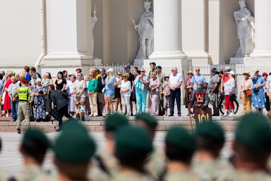 Lietuvos ginkluotųjų pajėgų vėliavų, būrių ir vadų rikiuotė