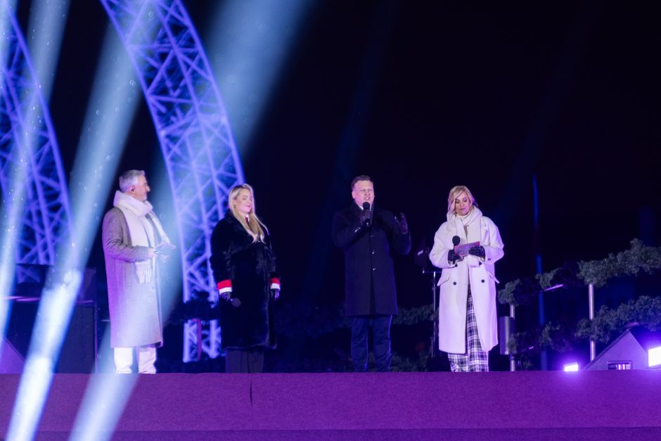 Vilnius įžiebė natūralią Kalėdų eglę: Katedros aikštėje – milžiniškas eglutės žaisliukas