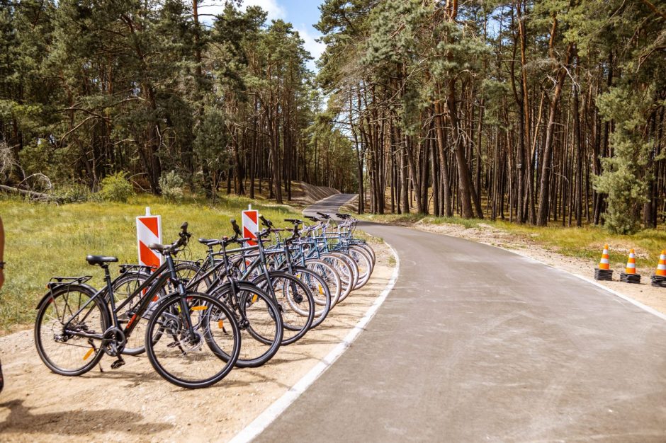 Kuršių nerijos dviračių tako remontą tikimasi užbaigti šiemet