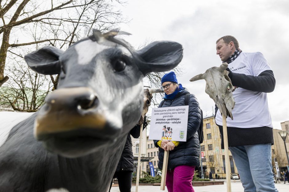 Protestuojantys pienininkai: ministrui turbūt reikėtų pasimuilinti ausis ir nusiplauti liežuvį