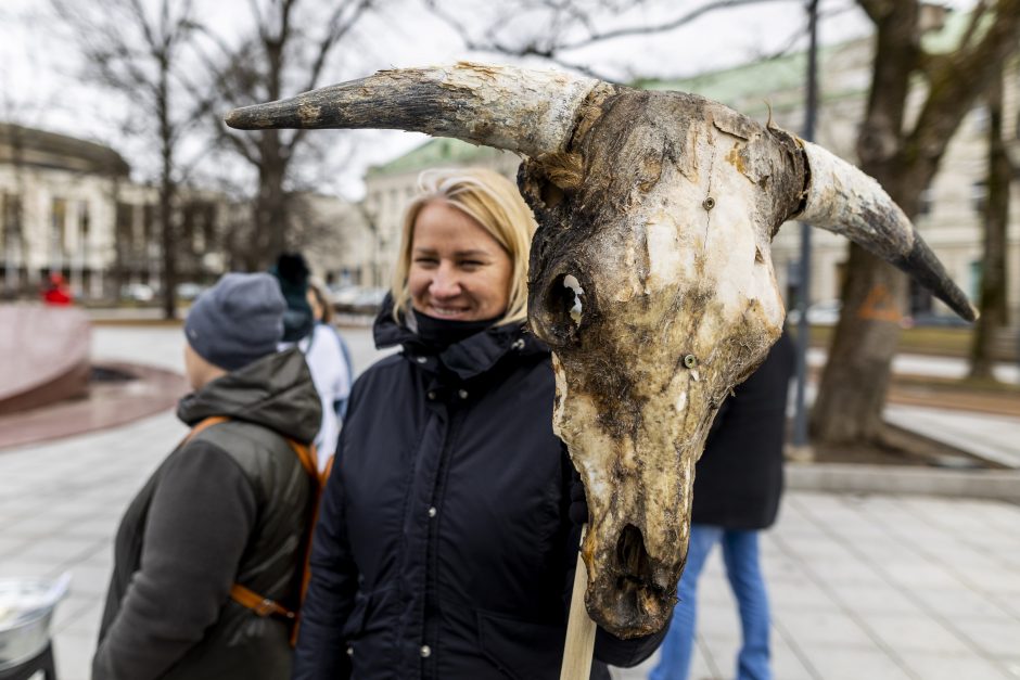 Protestuojantys pienininkai: ministrui turbūt reikėtų pasimuilinti ausis ir nusiplauti liežuvį