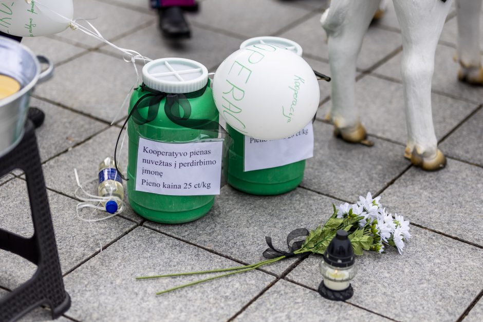 Protestuojantys pienininkai: ministrui turbūt reikėtų pasimuilinti ausis ir nusiplauti liežuvį