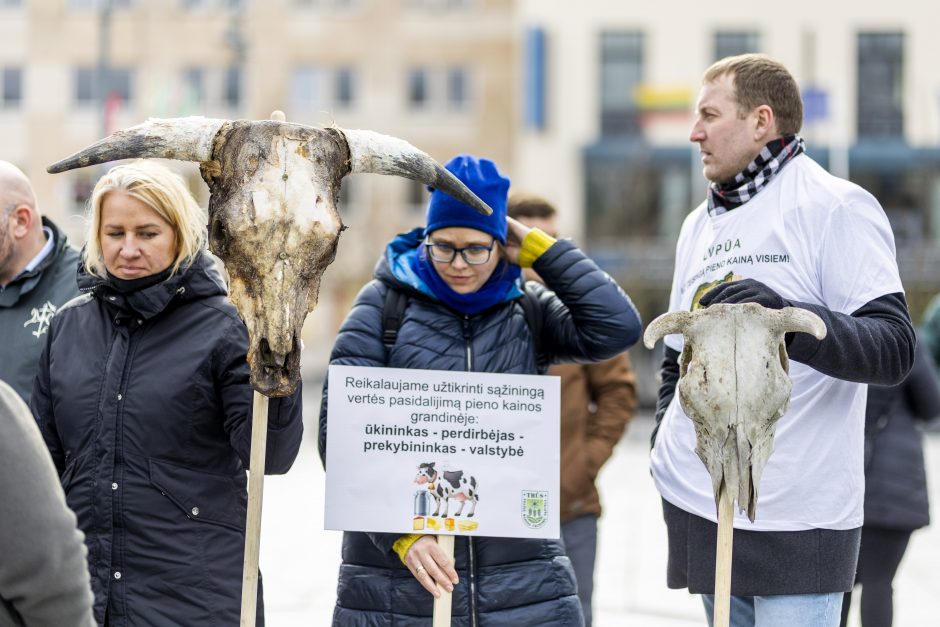 Protestuojantys pienininkai: ministrui turbūt reikėtų pasimuilinti ausis ir nusiplauti liežuvį