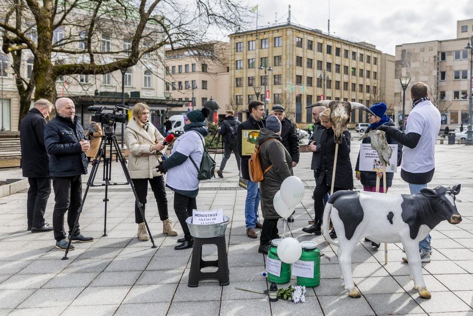 Protestuojantys pienininkai: ministrui turbūt reikėtų pasimuilinti ausis ir nusiplauti liežuvį