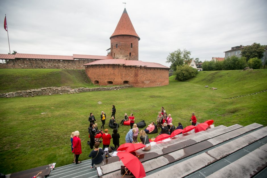 Prie Kauno pilies – piknikas su savanorystės ir pagalbos idėja