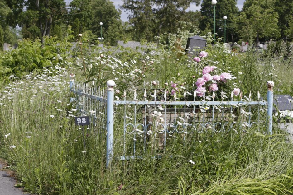 Artimųjų neturintys klaipėdiečiai nerimauja: kas rūpinsis kapavietėmis?