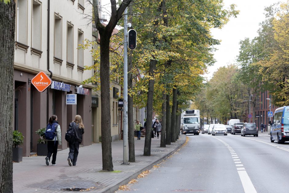 Herkaus Manto gatve – didesniu greičiu