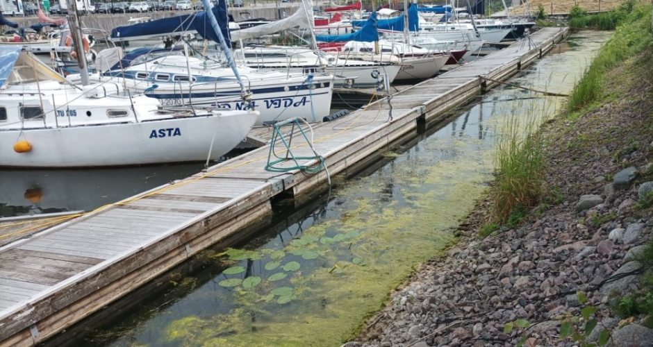 Ministerijų atstovams Pilies uoste smirdi?