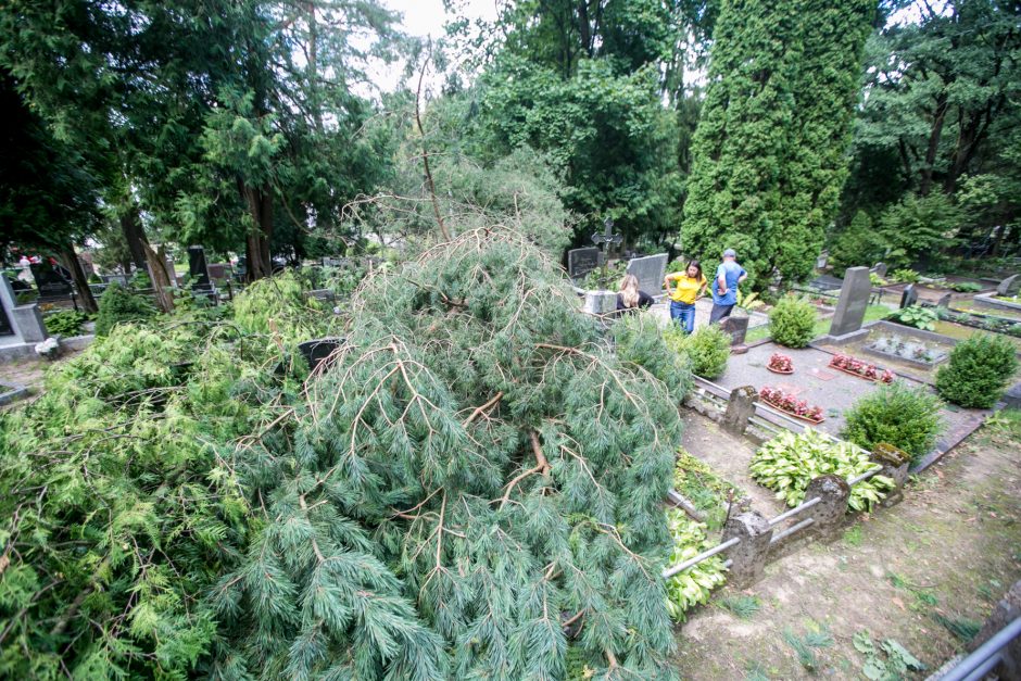 Audros padariniai Eigulių kapinėse: vaizdas – kaip po karo