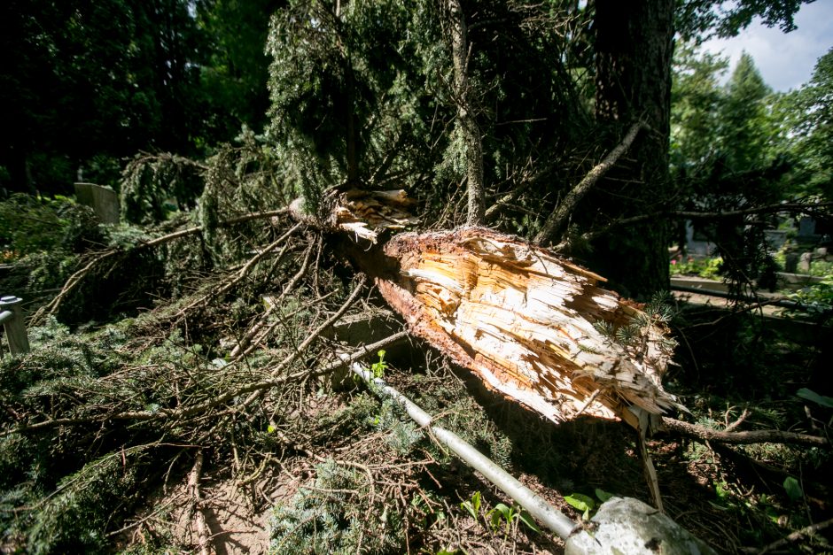 Audros padariniai Eigulių kapinėse: vaizdas – kaip po karo