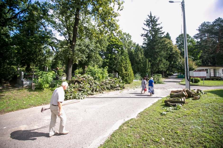 Audros padariniai Eigulių kapinėse: vaizdas – kaip po karo