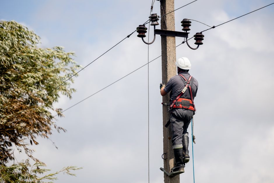 ESO vadovas: artimiausiomis dienomis tūkstančiai gyventojų dar neturės elektros