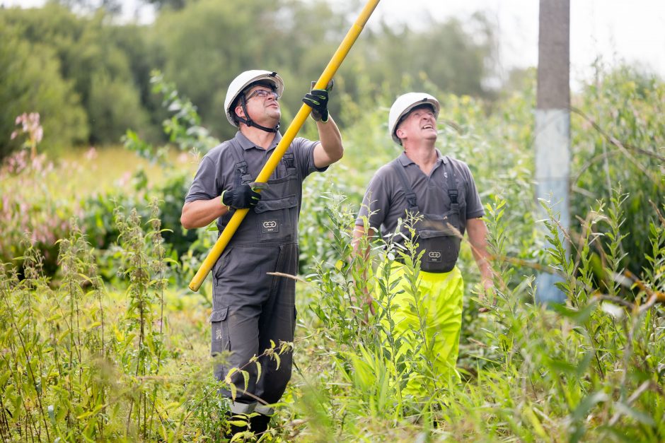 ESO vadovas: artimiausiomis dienomis tūkstančiai gyventojų dar neturės elektros