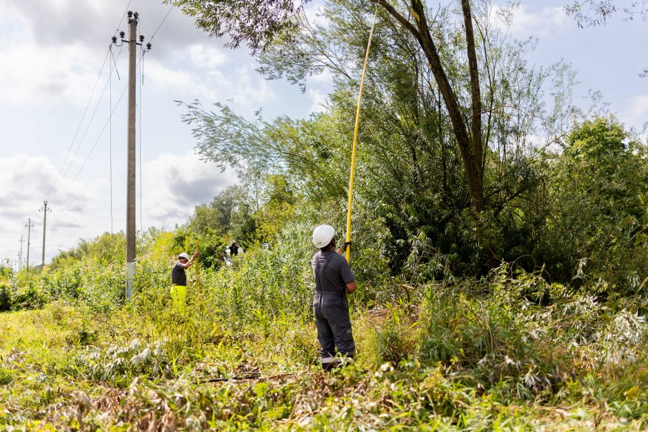 ESO vadovas: artimiausiomis dienomis tūkstančiai gyventojų dar neturės elektros